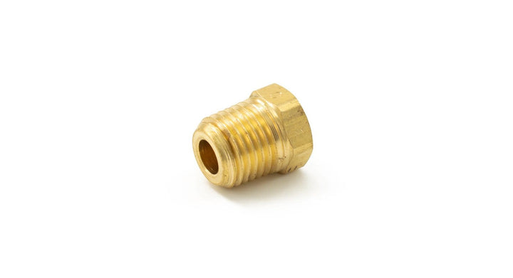 HornBlasters 1/8" NPT Brass Plug 